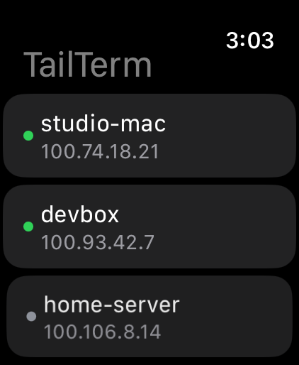 Tailscale machines listed in TailTerm on Apple Watch